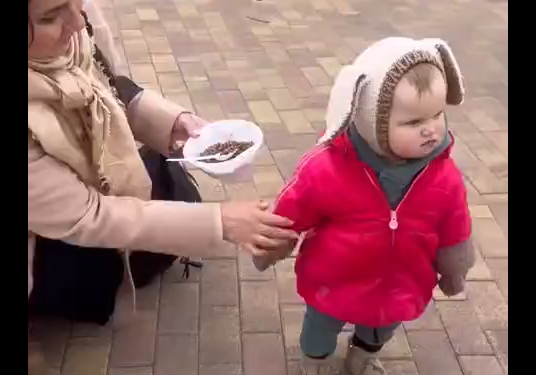 Обидеть Машу может каждый, но не каждый сможет убежать! (видео)