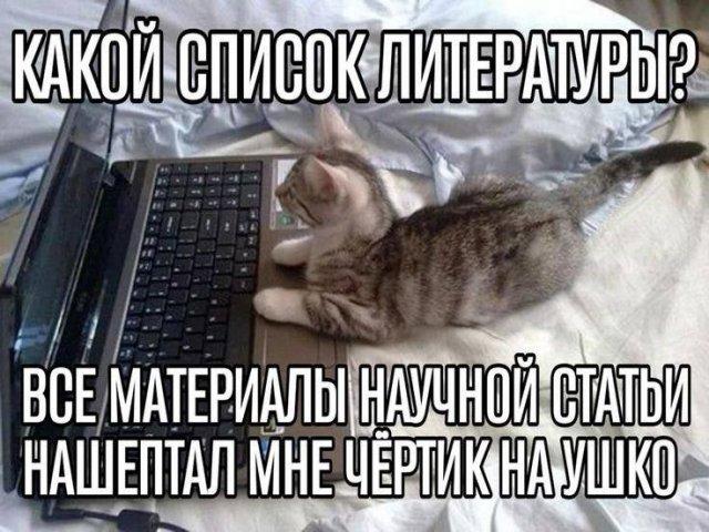 Лучшие шутки и мемы из Сети (15 фото)