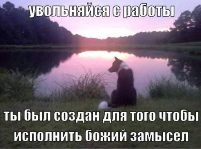 Смешные мемы (15 фото)