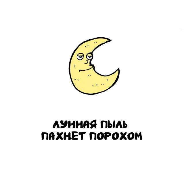 Интересные факты на все случаи жизни (15 фото)