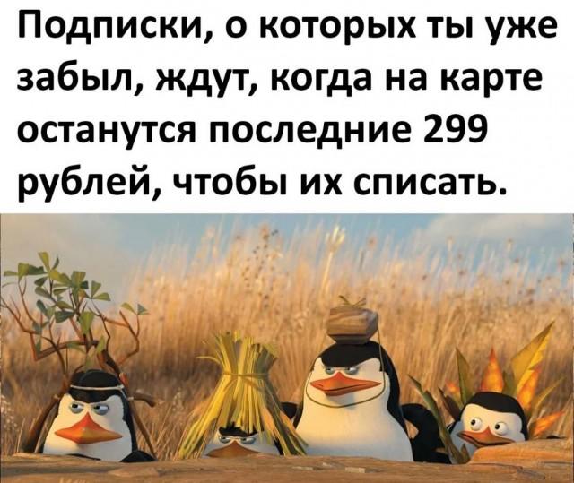 Подборка прикольных фото №3700 (30 фото)