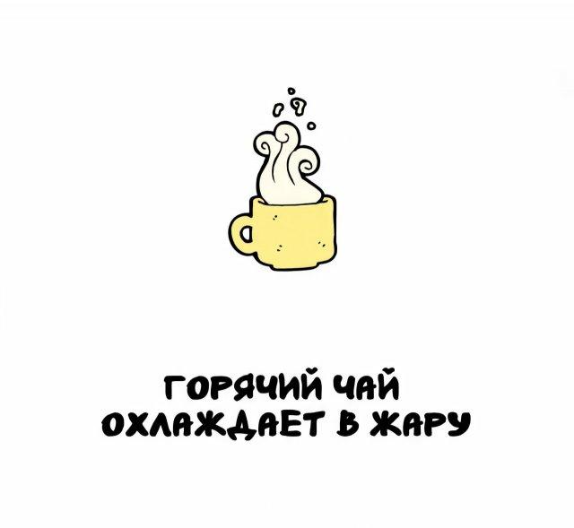 Интересные факты на все случаи жизни (15 фото)