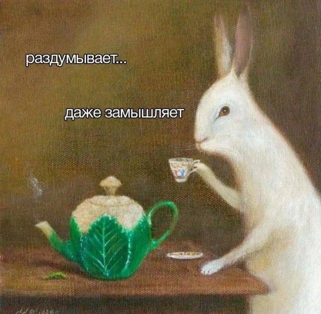 Смешные картинки (15 фото)