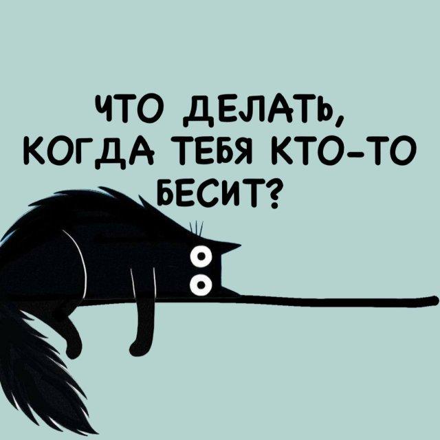 Что делать, когда тебя кто-то бесит (7 фото)
