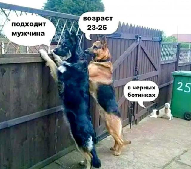 Лучшие шутки и мемы из Сети (15 фото)
