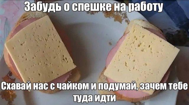 Смешные картинки (15 фото)