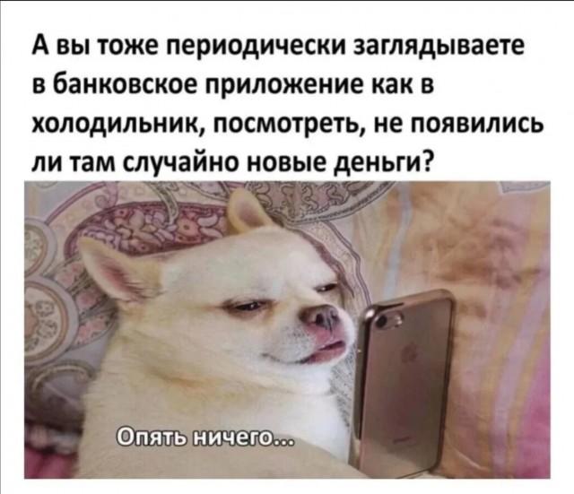 Подборка прикольных фото №3703 (30 фото)
