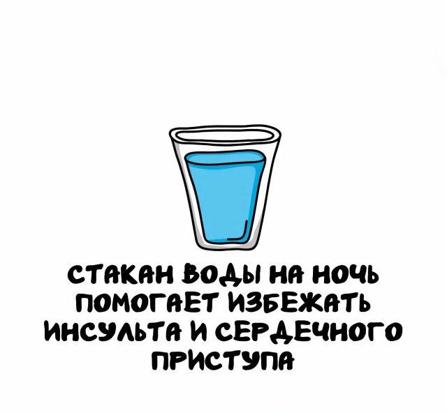 Интересные факты на все случаи жизни (15 фото)