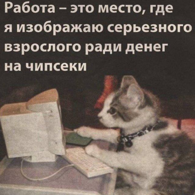 Смешные картинки (15 фото)