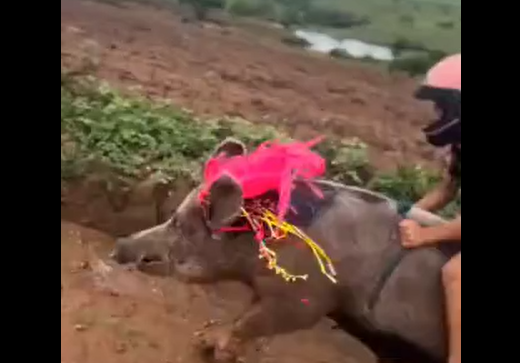 Пора! (видео)