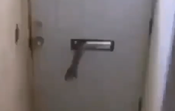 Ни один грабитель не пройдёт (видео)