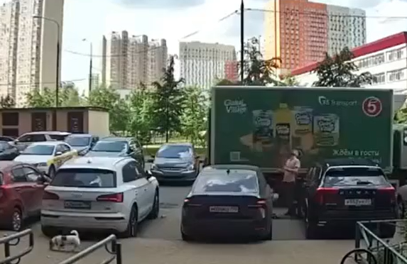 ,      ()