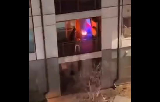 Пожарника из него не выйдет (видео)