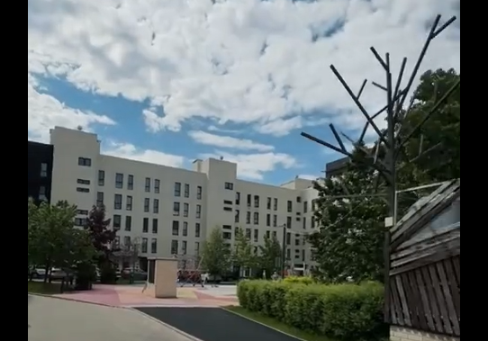 Так выглядит квартира после двух лет аренды пары с маленьким ребёнком и собаками (видео) 