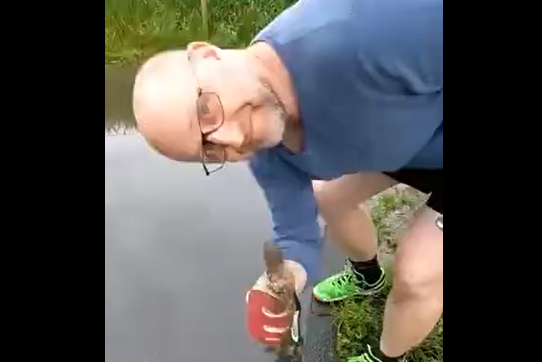 Чистка ливнёвки (видео)