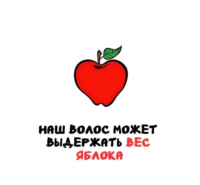 Интересные факты на все случаи жизни (15 фото)