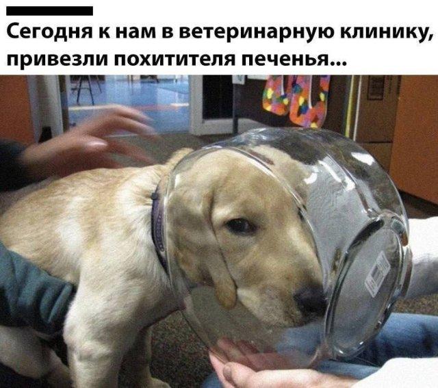Лучшие шутки и мемы из Сети (16 фото)