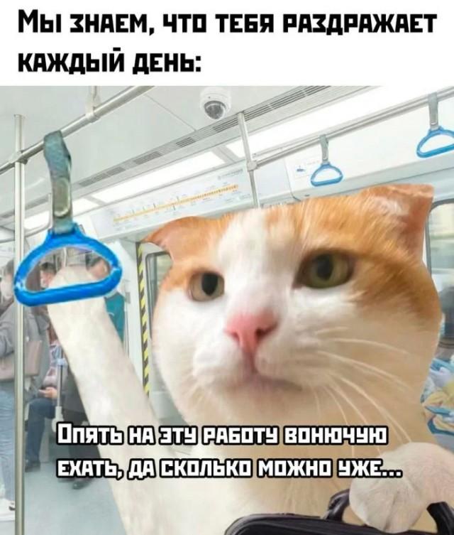 Подборка прикольных фото №3712 (30 фото)