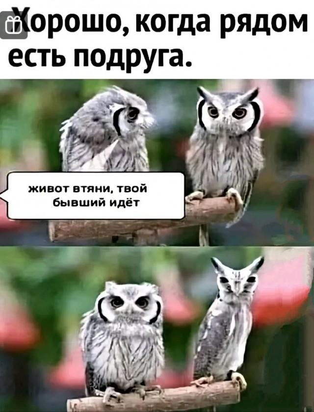 Смешные картинки (15 фото)