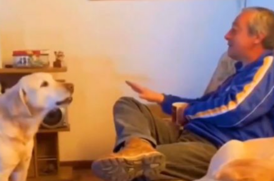Не так сел! (видео)