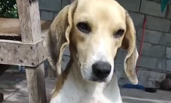 Чужих детей не бывает (видео)