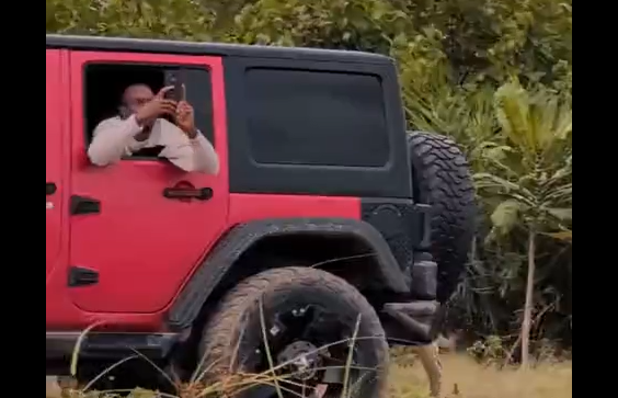 Упс... (видео)