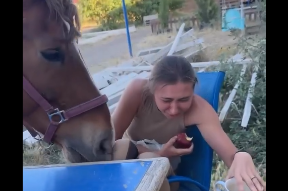 Бой за яблоко (видео)