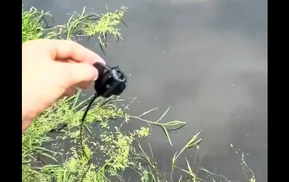 Теперь ещё и удочку заряжать (видео)