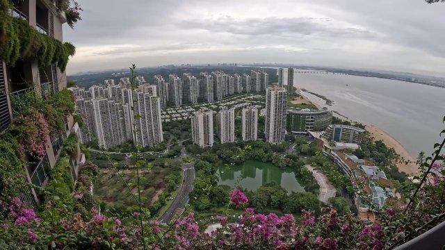  : -     Forest City (4 )