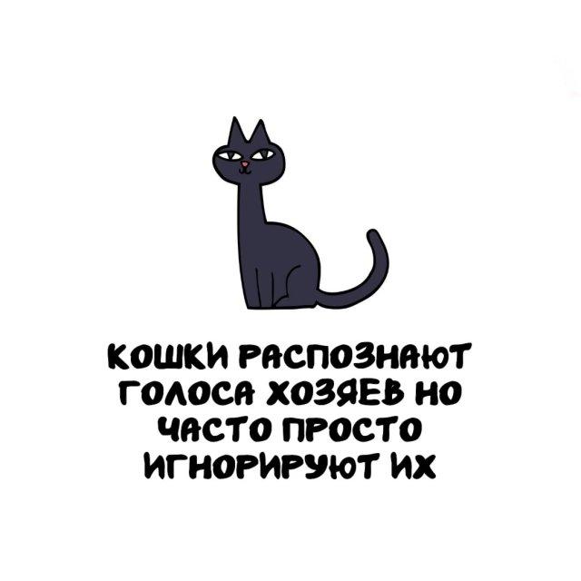 Интересные факты на все случаи жизни (15 фото)