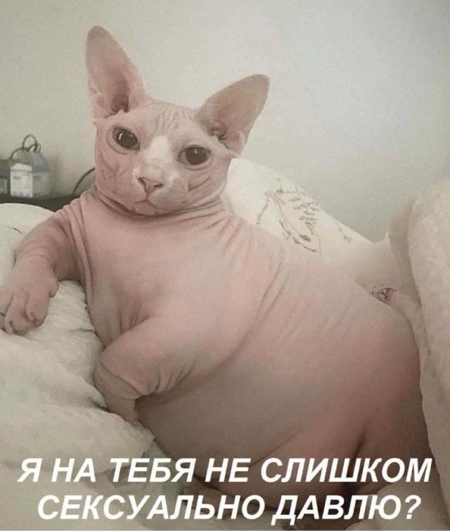 Подборка прикольных фото №3813 (30 фото)