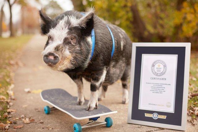 " ":            (7 )