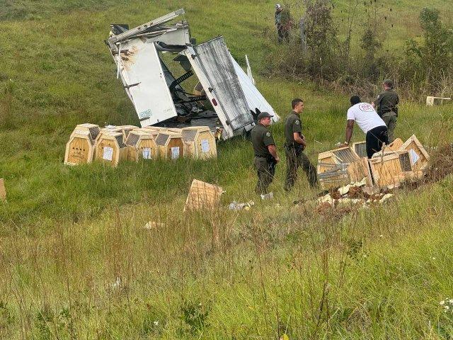  ,   ,   COVID,       (2 )