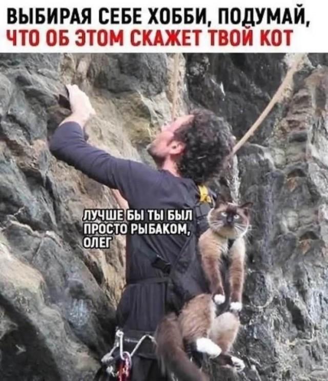 Подборка прикольных фото №3816 (30 фото)