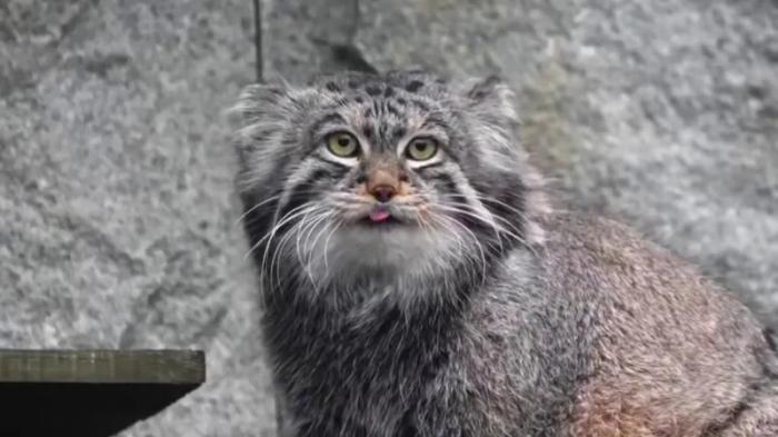 ����� ������� ������� �������� ������� ��������� (10 ����)