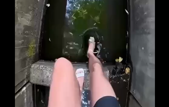 ������ ������� ��������, ������ ������ (�����)