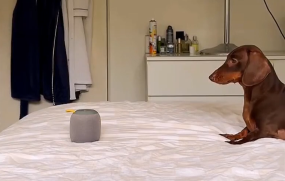 ����� �� ��������� ������� (�����)