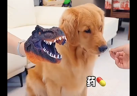 ��� ������� ������ ������� ��������� (�����)