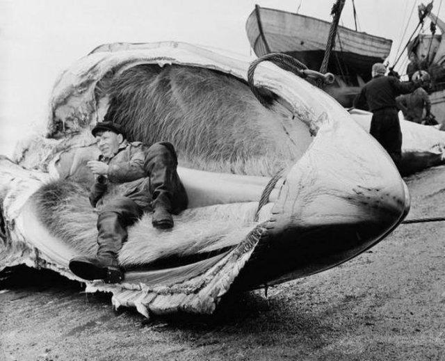 ������� �� ���������� �����-������� (15 ����)