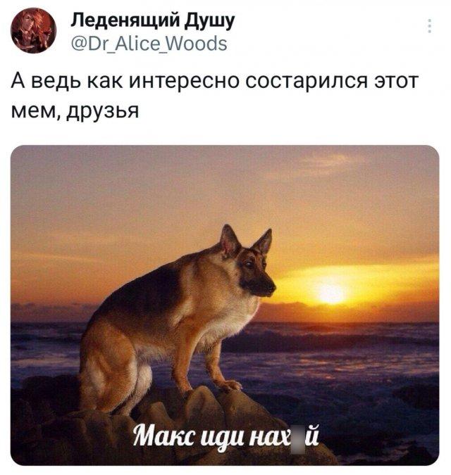 �������� �������� ������ ��� ���� (15 ����)