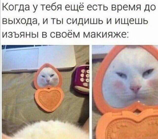 ������� ����� �� ���� ��� ������� ���� (15 ����)