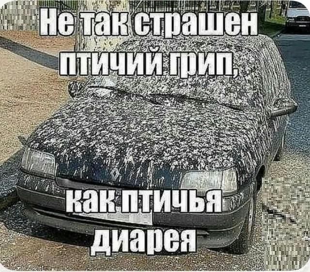 ������ ����� � ���� �� ���� (15 ����)