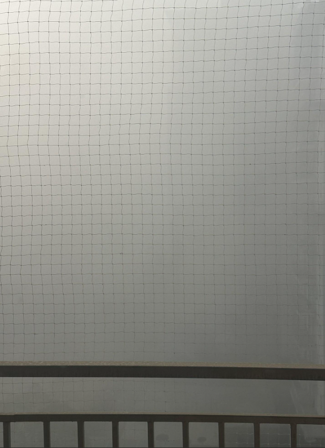 Вид с балкона в Дели (2 фото)