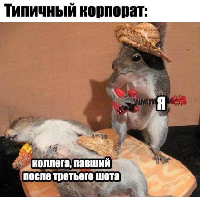 ������� �������� (15 ����)