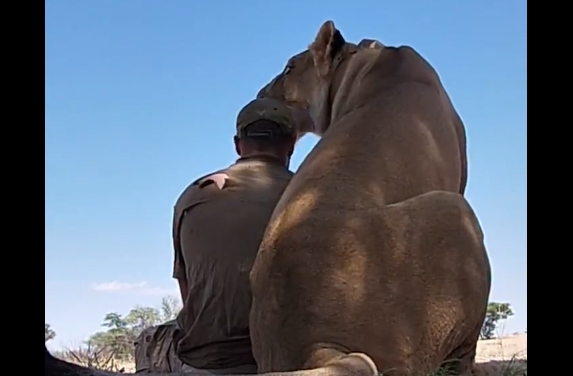 ����� ������� �� ���� ���� ��������� (�����)