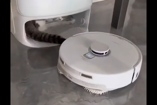 �����-������� �� ���� ��������� �� ���� (�����)