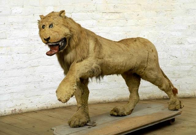  �������������� ��� (4 ����)