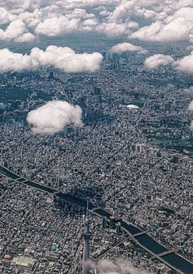 ��� �� ����� � ������ �������� ������ (6 ����)