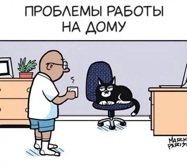 ������ ����� � ���� �� ���� (15 ����)