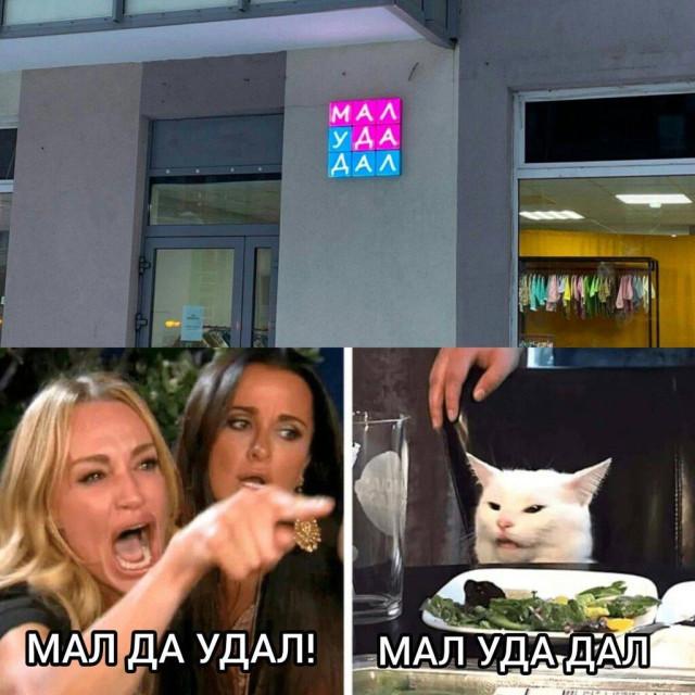 ������� �������, ������ ������� ���� �� ����� �� �������, ��� ��� ������ ������� (15 ����)